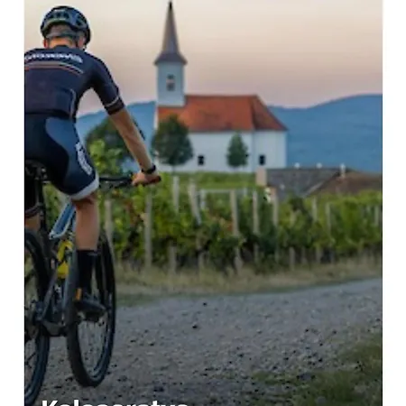 Druzinski Apartmaji Judnic * Adlesici